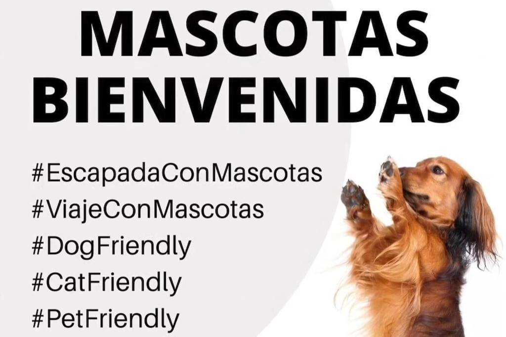 La Caseta De Rotova - Casa Rural Para Desconectar ภายนอก รูปภาพ