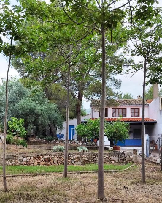 La Caseta De Rotova - Casa Rural Para Desconectar ภายนอก รูปภาพ