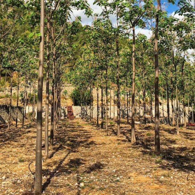 La Caseta De Rotova - Casa Rural Para Desconectar ภายนอก รูปภาพ
