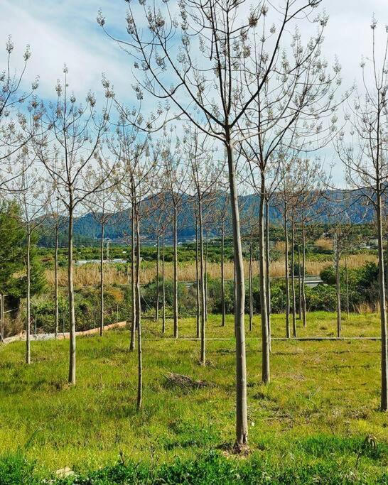 La Caseta De Rotova - Casa Rural Para Desconectar ภายนอก รูปภาพ